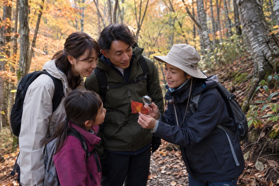 Guided nature discovery at Hyonosen — AI-generated concept