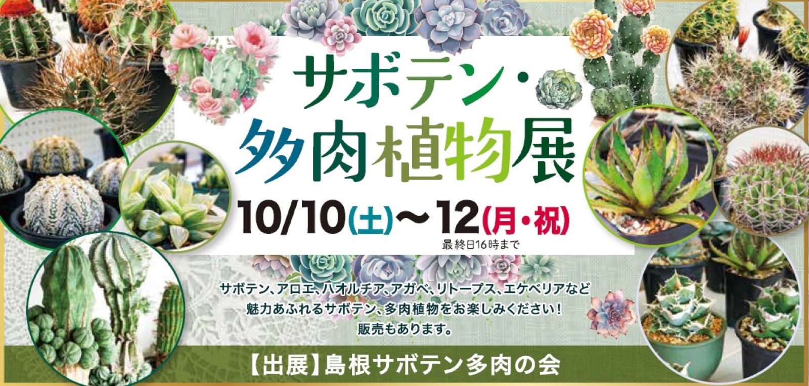 サボテン・多肉植物展 チラシ
