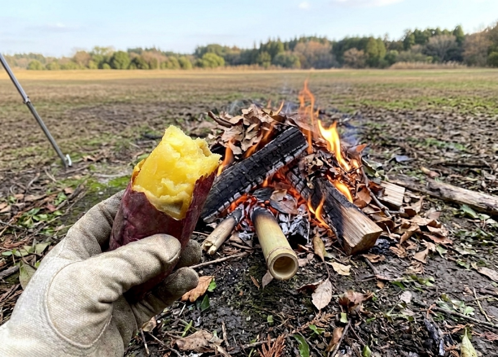 おとなの遠足 里山編・焼き芋といも代官 参考写真